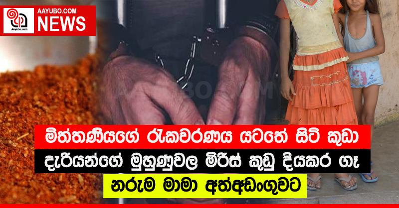 මිත්තණියගේ රැකවරණය යටතේ සිටි කුඩා දැරියන්ගේ මුහුණුවල මිරිස් කුඩු දියකර ගෑ නරුම මාමා අත්අඩංගුවට