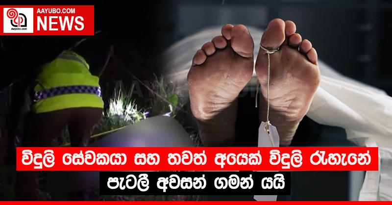 විදුලි සේවකයා සහ තවත් අයෙක් විදුලි රැහැනේ පැටලී අවසන් ගමන් යයි