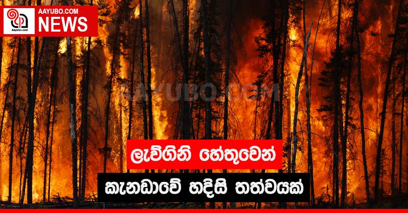 ලැව්ගිනි හේතුවෙන් කැනඩාවේ හදිසි තත්වයක්