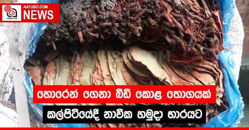 කල්පිටියේදී හොරෙන් ගෙනා බීඩි කොළ තොගයක් නාවික හමුදා භාරයට
