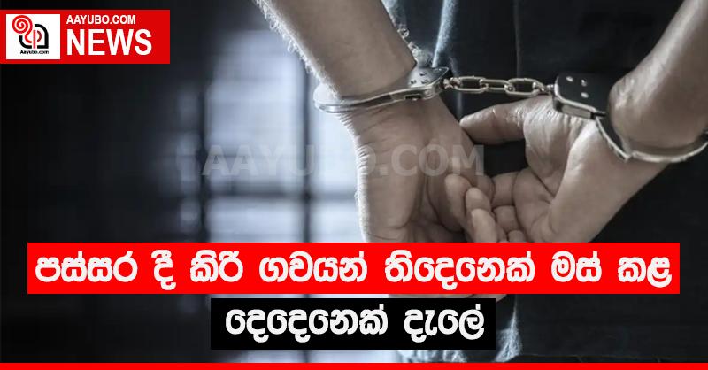 කිරි ගවයින් තිදෙනෙක් මස් කළ දෙදෙනෙක් දැලේ
