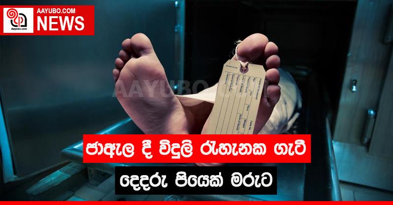 ජාඇල දී විදුලි රැහැනක ගැටී දෙදරු පියෙක් මරුට