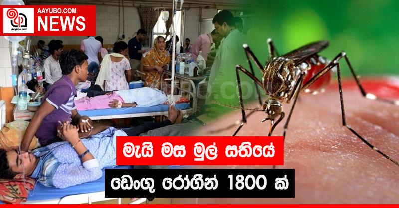 මැයි මස මුල් සතියේ ඩෙංගු රෝගීන් 1800ක්