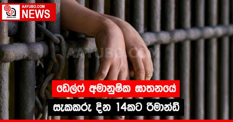 ඩෙල්ෆ් අමානුෂික ඝාතනයේ සැකකරු දින 14කට රිමාන්ඩ්
