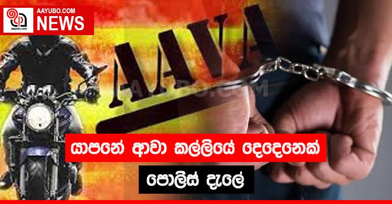 යාපනේ ආවා කල්ලියේ දෙදෙනෙක් පොලිස් දැලේ