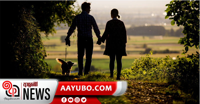 සුනඛයන් අරන් ලෝකාන්තයට ගිය අඹුසැමි යුවළට රු. හතළිස්‌ දහසක්‌ දඩ 