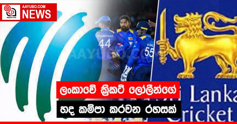 ශ්‍රී ලංකාවේ ක්‍රිකට් ලෝලීන්ගේ හද කම්පා කරවන රහසක්