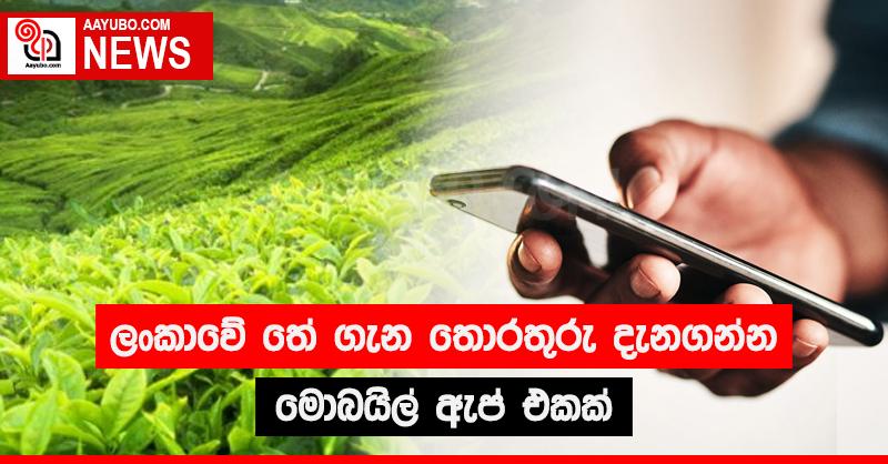 ලංකාවේ  තේ  ගැන තොරතුරු දැනගන්න මොබයිල් ඇප් එකක්