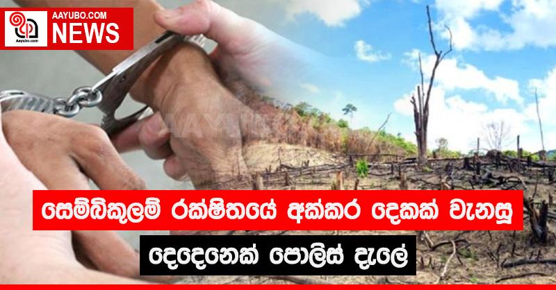සෙම්බිකුලම් රක්ෂිතයේ අක්කර දෙකක් වැනසූ දෙදෙනෙක් පොලිස් දැලේ