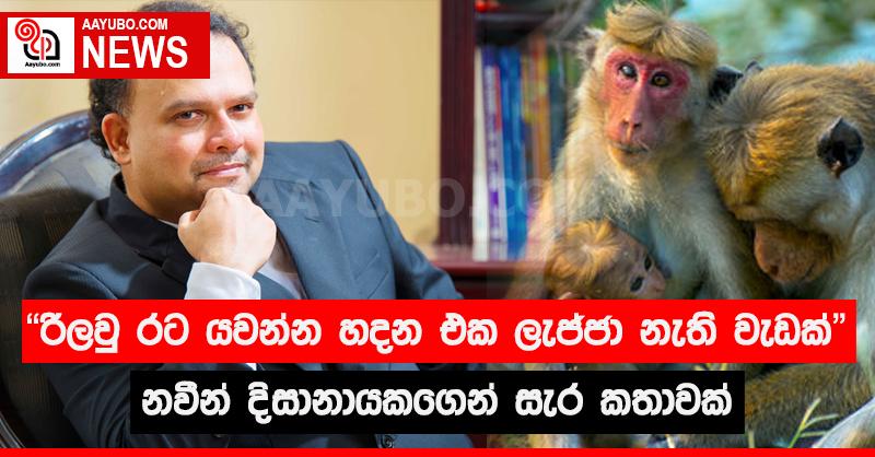 "රිලව් රට යවන්න හදන එක ලැජ්ජා නැති වැඩක්" - නවීන් දිසානායකගෙන් සැර කතාවක්