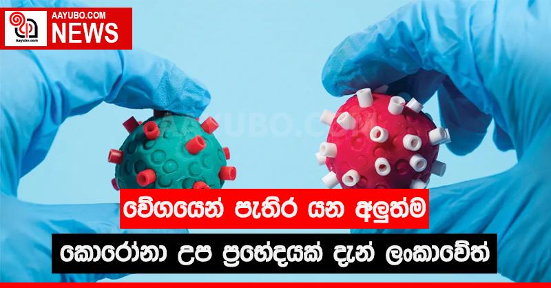 වේගයෙන් පැතිර යන කොරෝනා අලුත්ම උප ප්‍රභේදයක් දැන් ලංකාවේත්