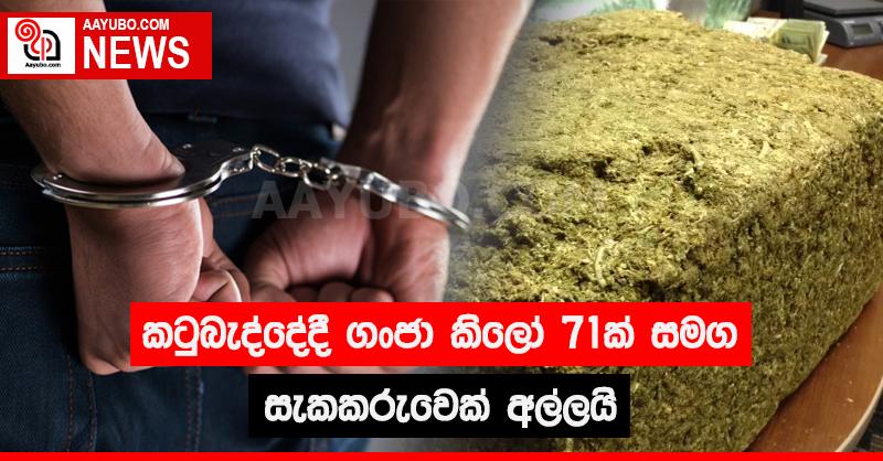 කටුබැද්දේදී ගංජා කිලෝ 71ක් සමග සැකකරුවෙක් අල්ලයි