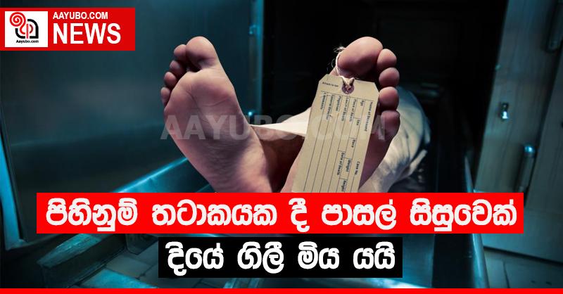 පිහිනුම් තටාකයකදී පාසල් සිසුවෙක් දියේ ගිලී මිය යයි