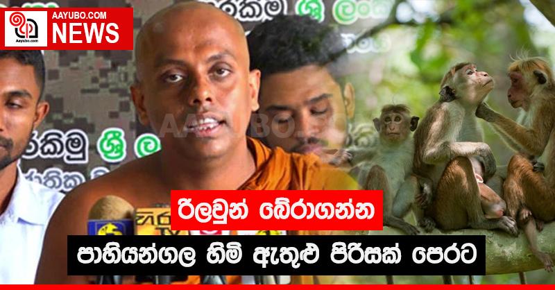 රිලවුන් බේරාගන්න පාහියන්ගල හිමි ඇතුළු පිරිසක් පෙරට