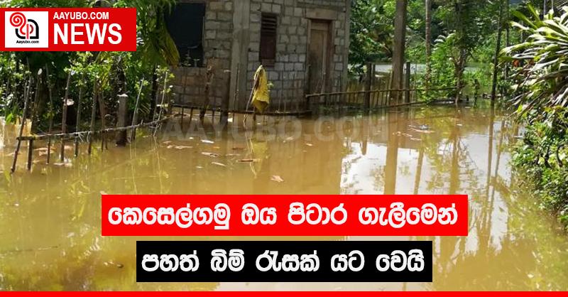කෙසෙල්ගමු ඔය පිටාර ගැලීමෙන් පහත් බිම් රැසක් යටවෙයි