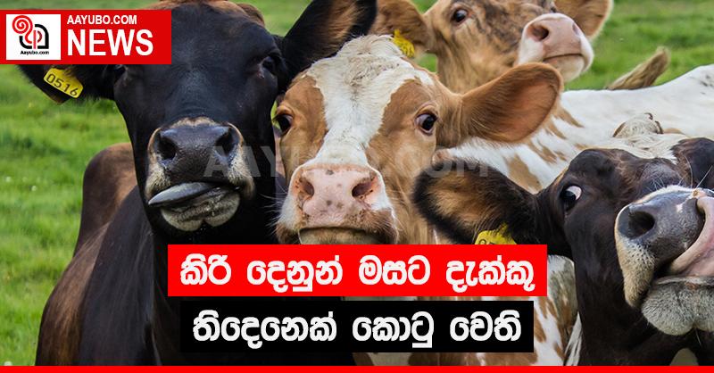 කිරි දෙනුන් මසට දැක්වූ තිදෙනෙක් කොටුවෙති