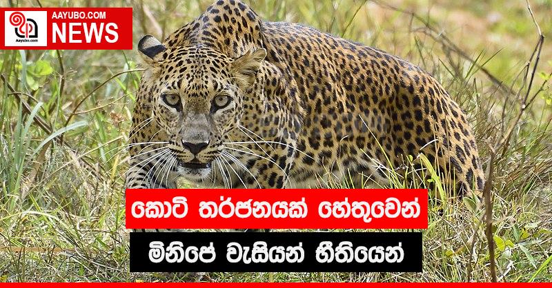 කොටි තර්ජනයක් හේතුවෙන් මිනිපේ වැසියන් භීතියෙන් 