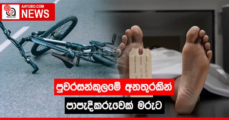 පුවරසන්කුලමේ අනතුරකින් පාපැදිකරුවෙක් මරුට