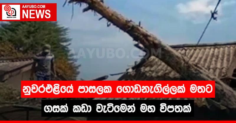 නුවරඑළියේ පාසලක ගොඩනැගිල්ලක් මතට ගසක් කඩා වැටීමෙන් මහ විපතක්