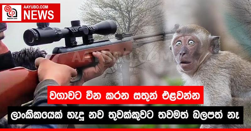 වගාවට වින කරන සතුන් එළවන්න ලාංකිකයෙක් හැදූ නව තුවක්කුවට තවමත් බලපත් නෑ