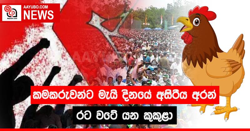 කම්කරුවන්ට මැයි දිනයේ අසිරිය අරන් රට වටේ යන කුකුළා
