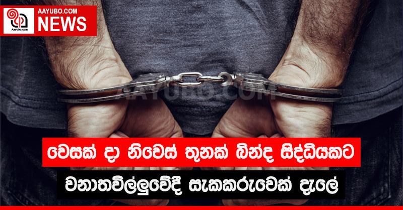 වෙසක් දා නිවෙස් තුනක් බින්ද සිද්ධියකට වනාතවිල්ලුවේදී සැකකරුවෙක් දැලේ