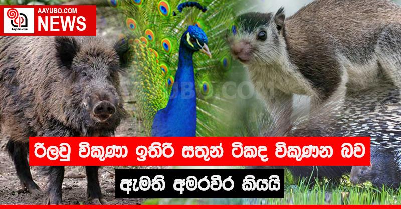 රිලවු විකුණා ඉතිරි සතුන් ටිකද විකුණන බව ඇමති අමරවීර කියයි