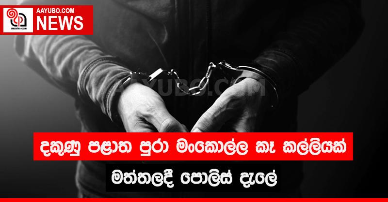දකුණු පළාත පුරා මංකොල්ල කෑ කල්ලියක් මත්තලදී පොලිස් දැලේ