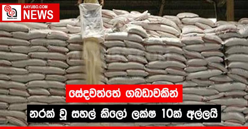 සේදවත්තේ ගබඩාවකින් නරක් වූ සහල් කිලෝ ලක්ෂ 10ක් අල්ලයි