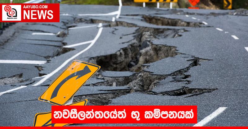 නවසීලන්තයේ භූ කම්පනයක්
