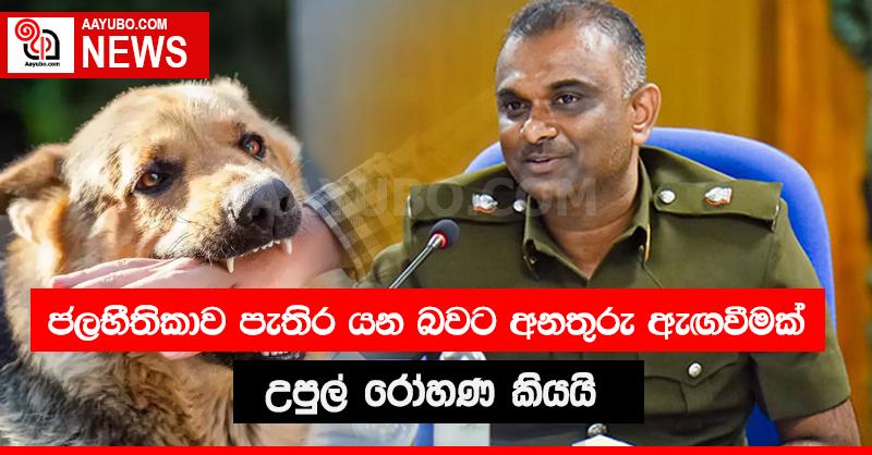 ජලභීතිකාව පැතිරීමේ අවදානමක් ගැන මහජන සෞඛ්‍ය පරීක්ෂකවරු අනතුරු අඟවයි.