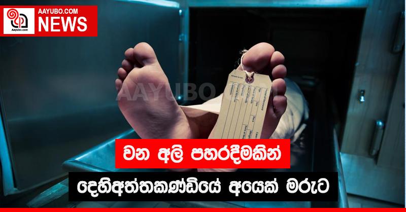 වන අලි පහරදීමකින් දෙහිඅත්තකන්ඩියේ අයෙක් මරුට