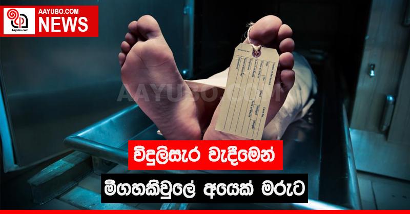 විදුලිසැර වැදීමෙන් මීගහකිවුලේ අයෙක් මරුට