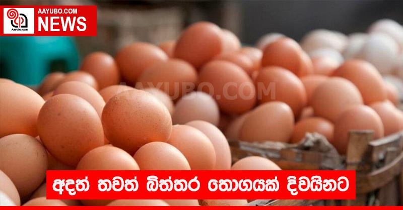 අදත් තවත් බිත්තර තොගයක් දිවයිනට