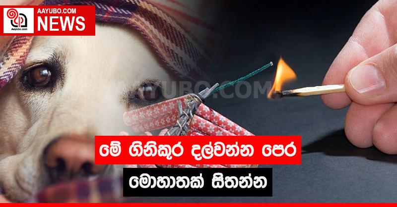මේ ගිනිකූර දල්වන්න පෙර මොහොතක් සිතන්න