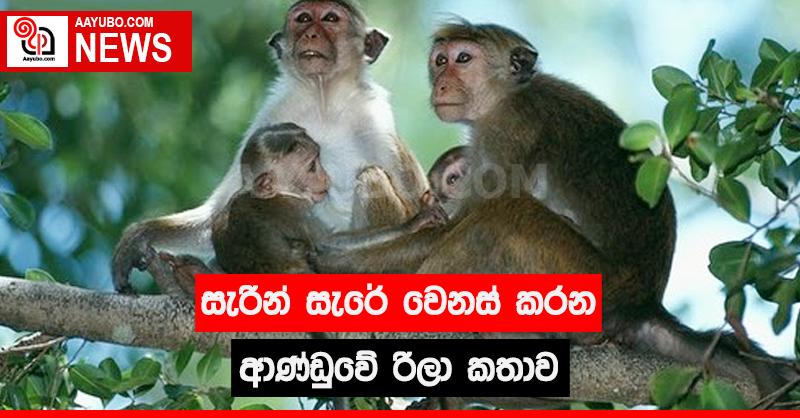 සැරින් සැරේ වෙනස් කරන ආණ්ඩුවේ රිලා කතාව