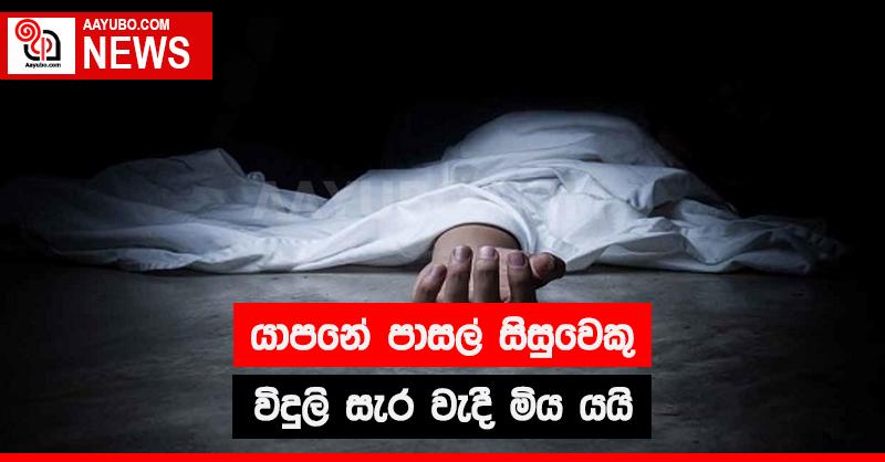යාපනේ  පාසල් සිසුවෙකු විදුලි සැර වැදී මිය යයි