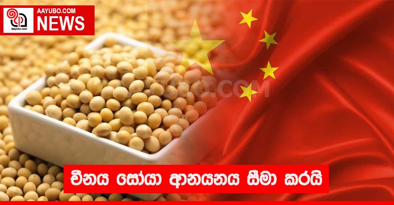 චීනය සෝයා ආනයනය සීමා කරයි