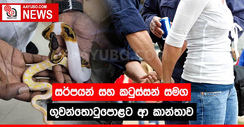 සර්පයන් සහ කටුස්සන් සමග ගුවන්තොටුපොළට ආ කාන්තාව