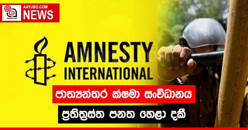 ජාත්‍යන්තර ක්ෂමා සංවිධානය ප්‍රතිත්‍රස්ත පනත හෙළා දකී