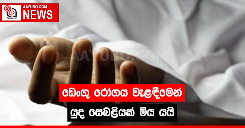 ඩෙංගු රෝගය වැළඳීමෙන් යුද සෙබළියක් මිය යයි