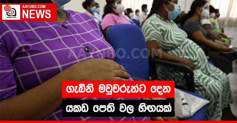 ගැබිනි මවුවරුන්ට  දෙන යකඩ පෙති වල හිඟයක්