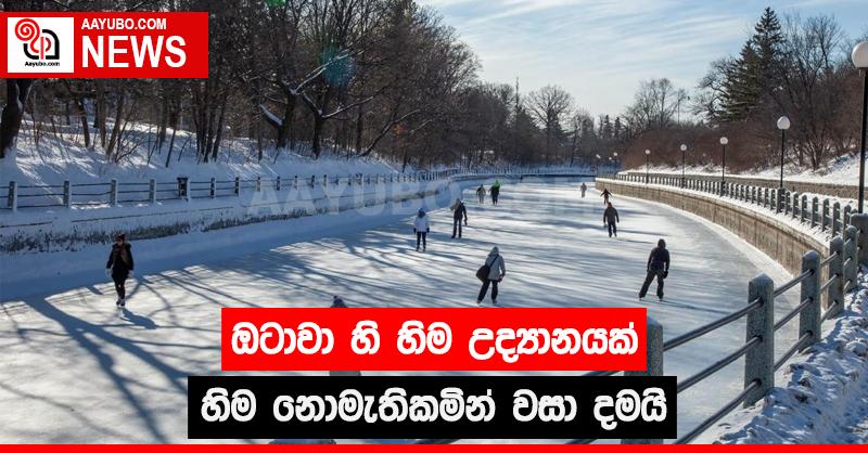 ඔටාවා හි  හිම උද්‍යානයක් හිම නොමැතිකමින් වසා දමයි