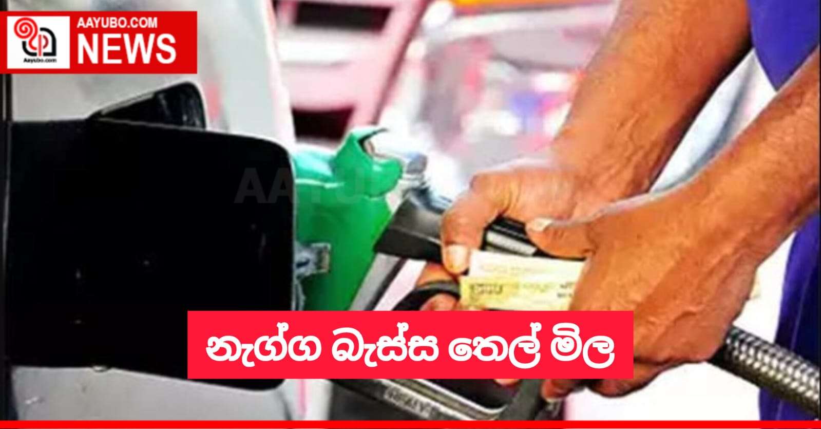 නැග්ග බැස්ස තෙල් මිල