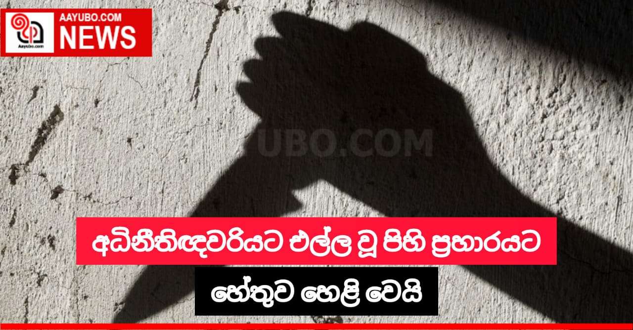 රජයේ අධිනීතිඥවරියකට එල්ල කළ පිහි ප්‍රහාරයේ සැකකරු අත්අඩංගුවට