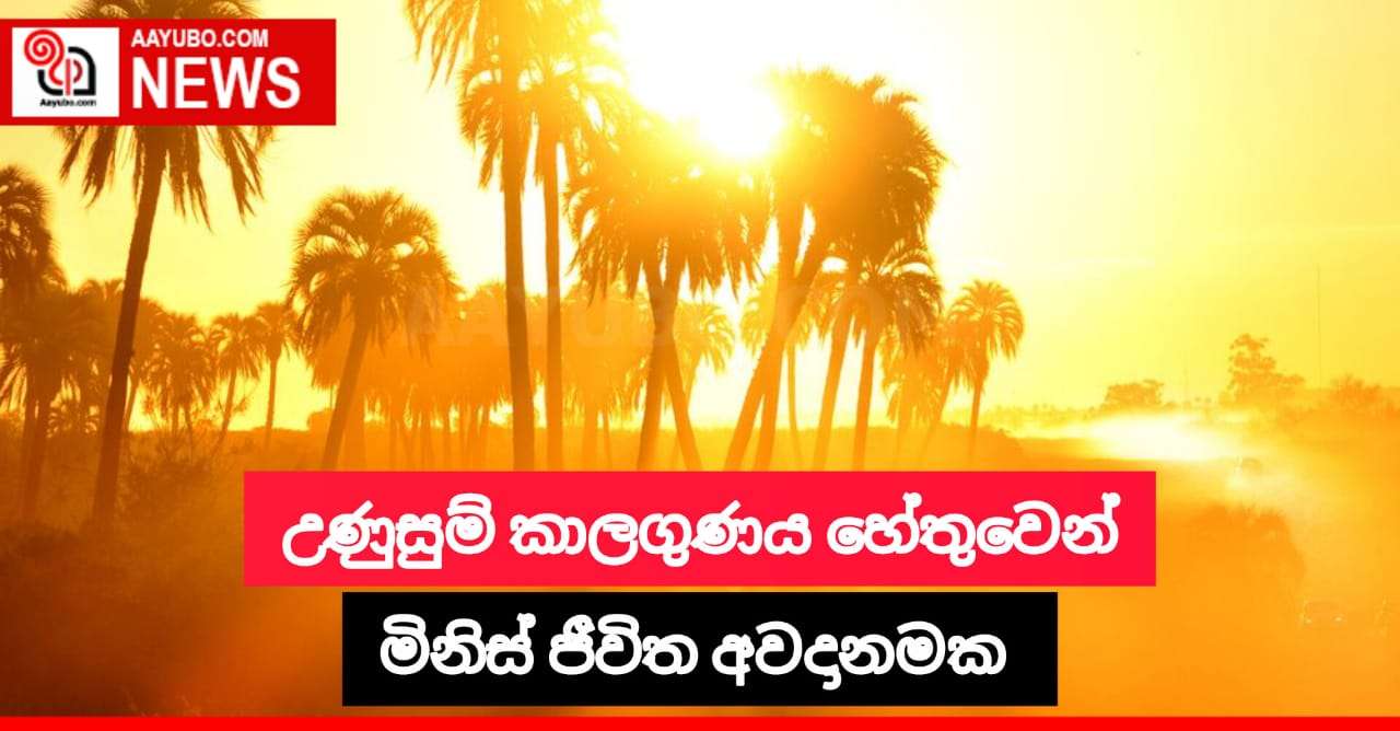උෂ්ණත්වය හේතුවෙන් මිනිස් ජීවිත අවධානමක