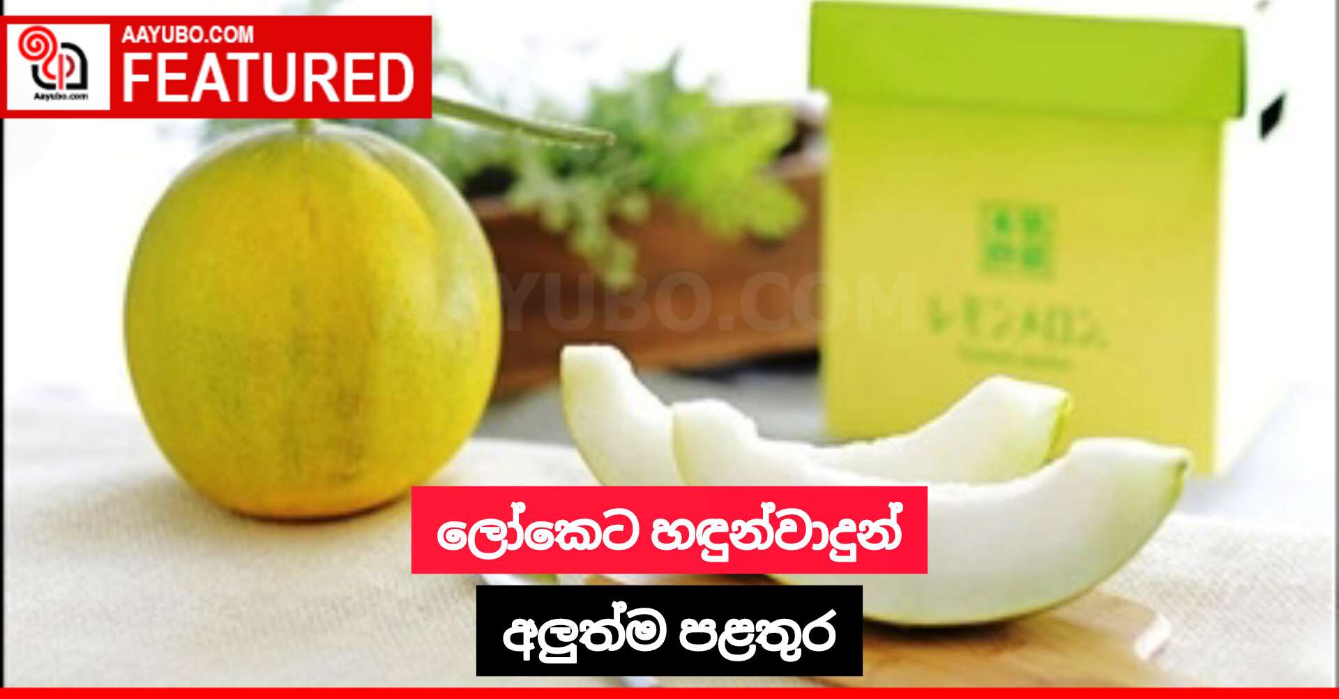 ලෝකෙට හඳුන්වාදුන් අලුත්ම පළතුර