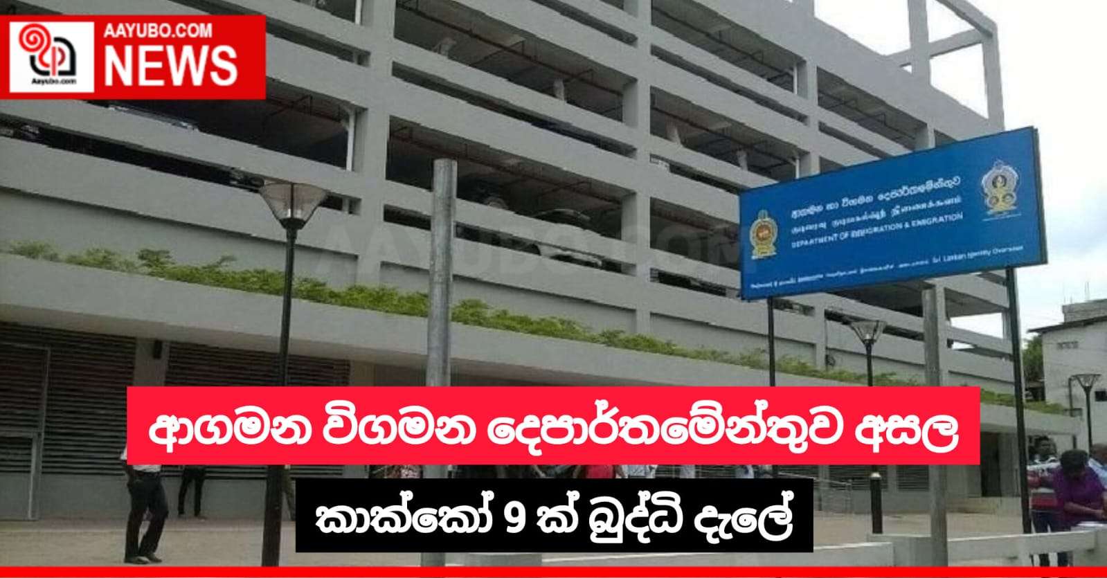 ආගමන විගමන දෙපාර්තමේන්තුව අසල කාක්කෝ 9 ක් බුද්ධි දැලේ