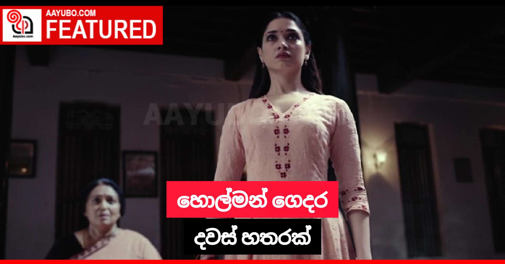 හොල්මන් ගෙදර දවස් හතරක්