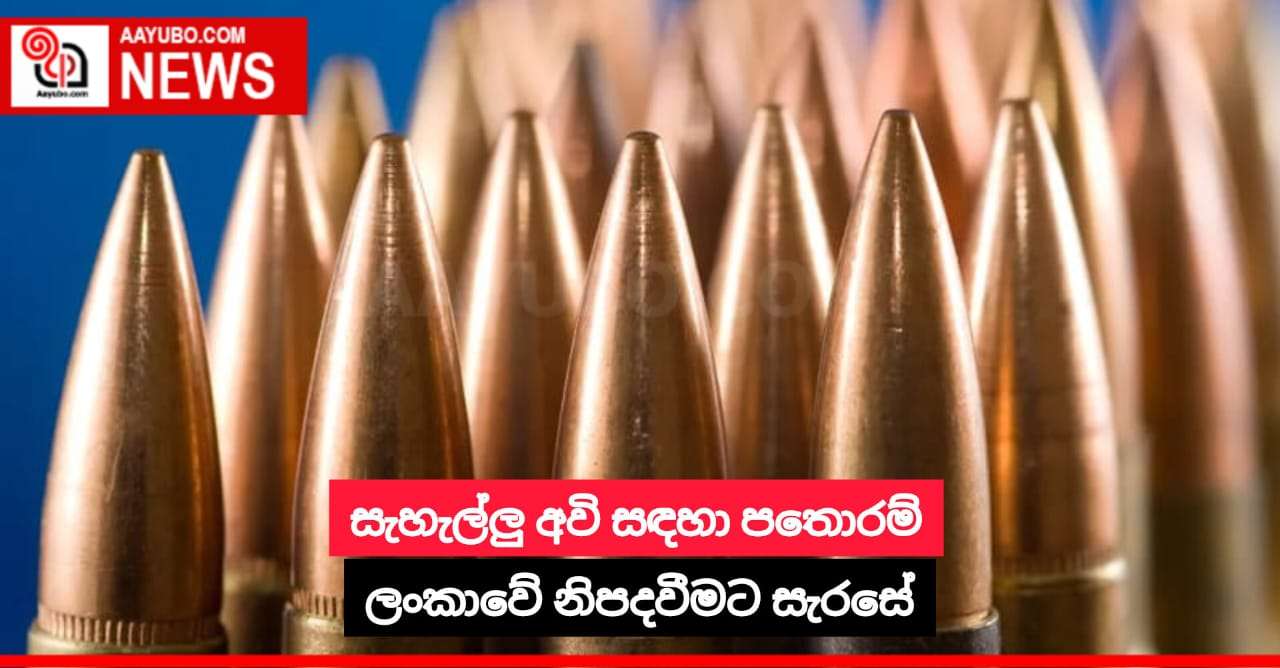 සැහැල්ලු අවි සඳහා පතොරම් ලංකාවේ නිපදවීමට සැරසේ